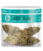 Fleurs CBD all day fleur CBD